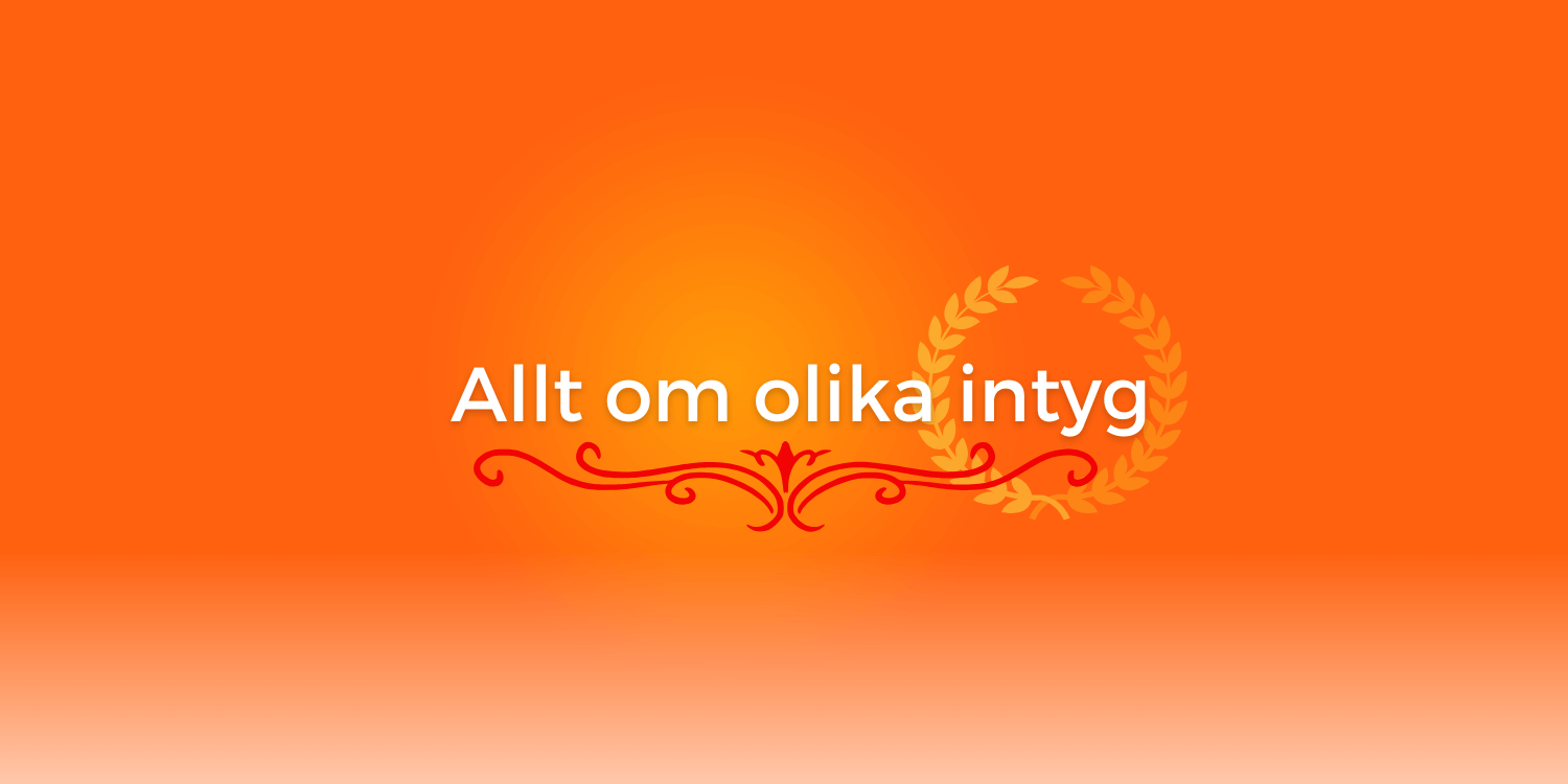 Text: Allt om olika intyg för dig med funktonsnedsättningar